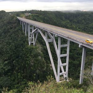 Meet your Posher, Zoey